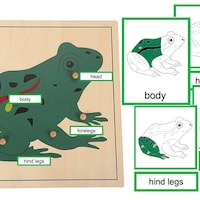 Parts of a Root Montessori 3 and 4 Part Cards - Etsy