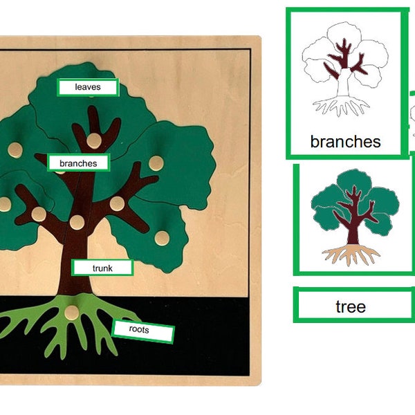 Parts of a Tree - Montessori 3-part-cards