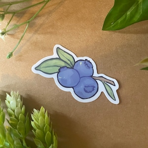 Blueberry vinyl sticker
