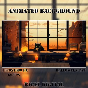 Vtuber Animated Background | Halloween Cat | Looped Vtuber Twitch Stream Overlay | Instant Digital Download