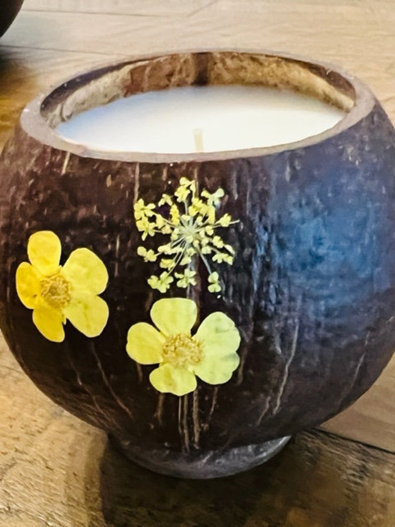 Whole Coconut Shell Candle, Decorative Candle, Coconut Candle, Coconut ...