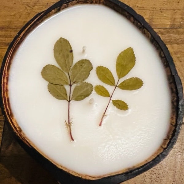 Mahogany Apple Candle Etsy