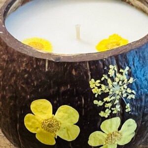 Whole coconut shell candle, decorative candle, coconut candle, coconut bowl candle, coconut vanilla, tropical candle, handmade, eco friendly