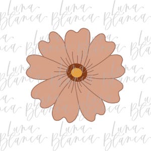 Funky Daisy