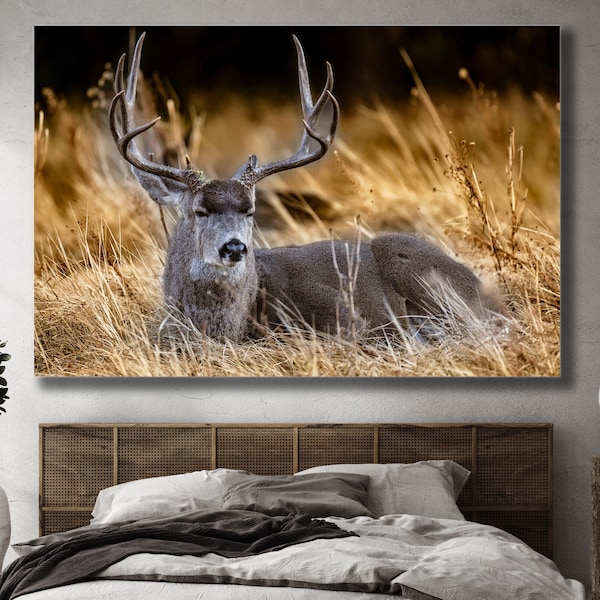 Wildlife Canvas Wall Art Etsy
