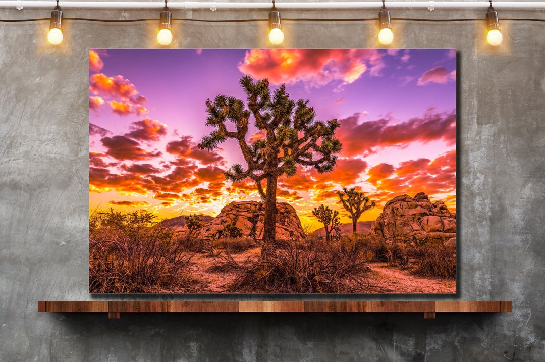 Joshua Tree Art Joshua Tree Sunset Joshua Tree Canvas Print Etsy