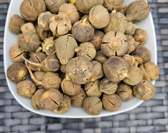 Goronen tula Snot Apfel seidige Kola Afrikanische Kaugummi Früchte Getrocknete Früchte