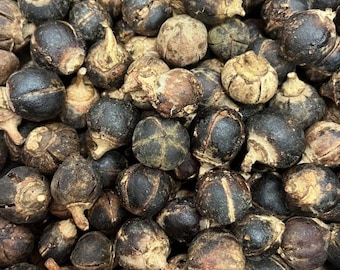 Bio frische Goron Tula/Azanza/Snot Apfelfrüchte