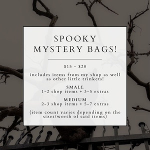 Spooky Mystery Bag