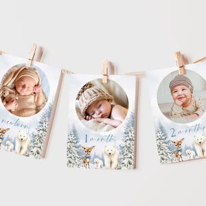 Bannière photo mensuelle pour 1er anniversaire de Onederland Boy, Noël bleu pays des merveilles, signe des 12 premiers mois, modèle Canva modifiable SSS4