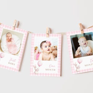 Irgendein Hase Dreht Ein Mädchen zum 1. Geburtstag Monatliches Banner Zeichen Osterkaninchen Erster Tag Rosa Ballon Dekor Poster Bearbeitbare Canva Vorlage