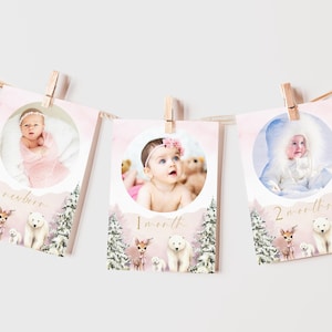 Bannière photo mensuelle pour fille 1er anniversaire de Onederland hiver, rose du pays des merveilles Noël 12 premiers mois signe modèle canva modifiable SSS3