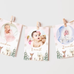 Winter Onederland Girl 1st Birthday Photo Banner: Editable Canva Template