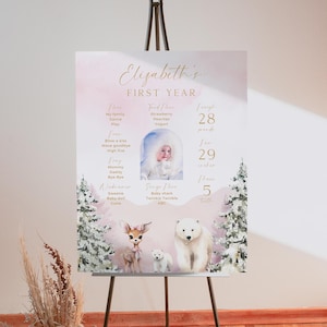 Placa comemorativa do primeiro aniversário da menina de Winter Onederland, pôster divertido com estatísticas do primeiro aniversário do feriado de Natal, modelo editável do Canva SSS3