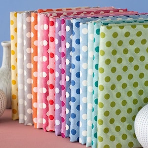Peut inclure: Une rangée de cahiers colorés à pois blancs sur une surface rose, avec un fond bleu. Les cahiers sont de différentes couleurs : jaune, gris, orange, rose, violet, bleu et vert. Des vases décoratifs sont également présents.