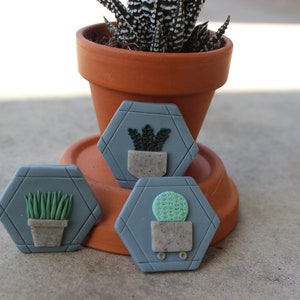 Decorative Succulent Magnets Fridge, Locker