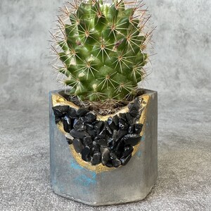 Kleine zeshoekige betonnen plantenpot met zwarte vuursteenmineralen
