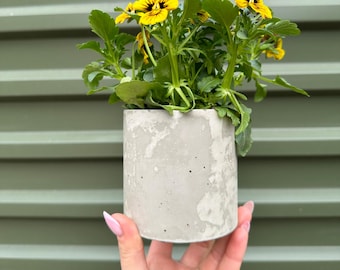 Fioriera cilindrica in cemento fatta a mano: vaso in cemento moderno e minimalista