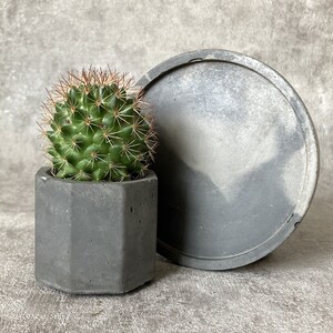 Puede incluir: Una pequeña planta de cactus verde en una maceta hexagonal de hormigón gris, junto a un platillo redondo de hormigón gris más grande.