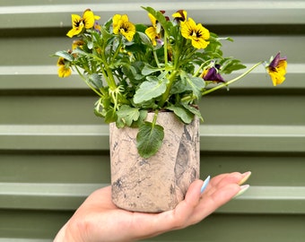 Handmade Hydro Dipped Concrete Planter: Colorful Desk Organizer
