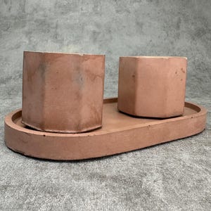 Rosa betong hexagonplanter med ovalt bricka: Modern suckulentdekor