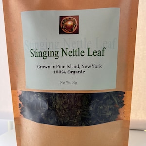Organic Stinging Nettle grown in Pine Island, New York