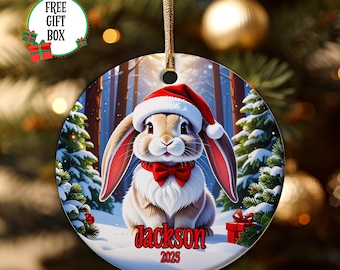 Personalized Bunny Ornament, Ornament For Boys & Girls, Add Any Name Keepsake Ornament, Grandchild Gift, Gift For Kids, Pet Rabbit Gift
