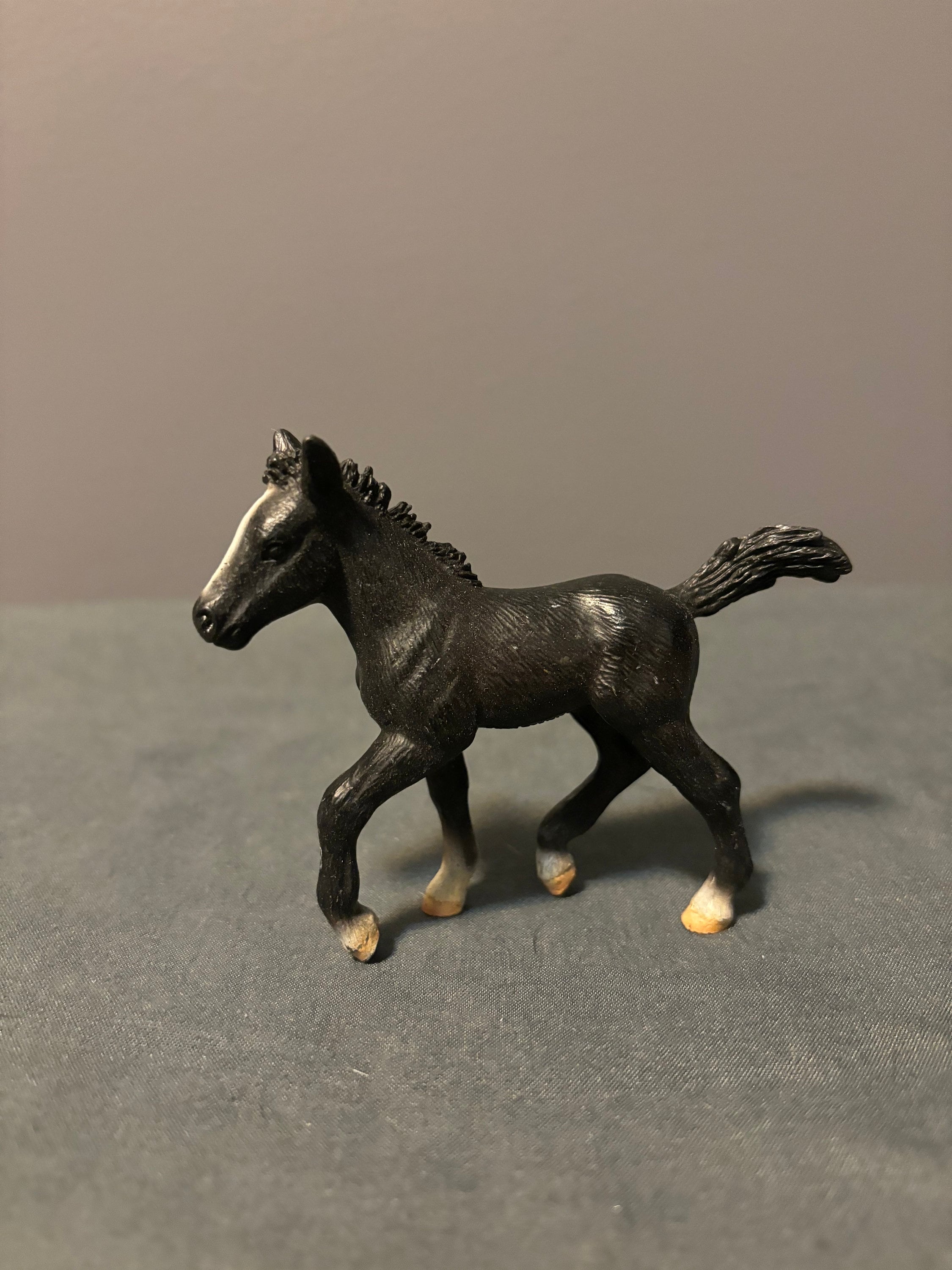 Retired Schleich Lipizzaner Foals Canada