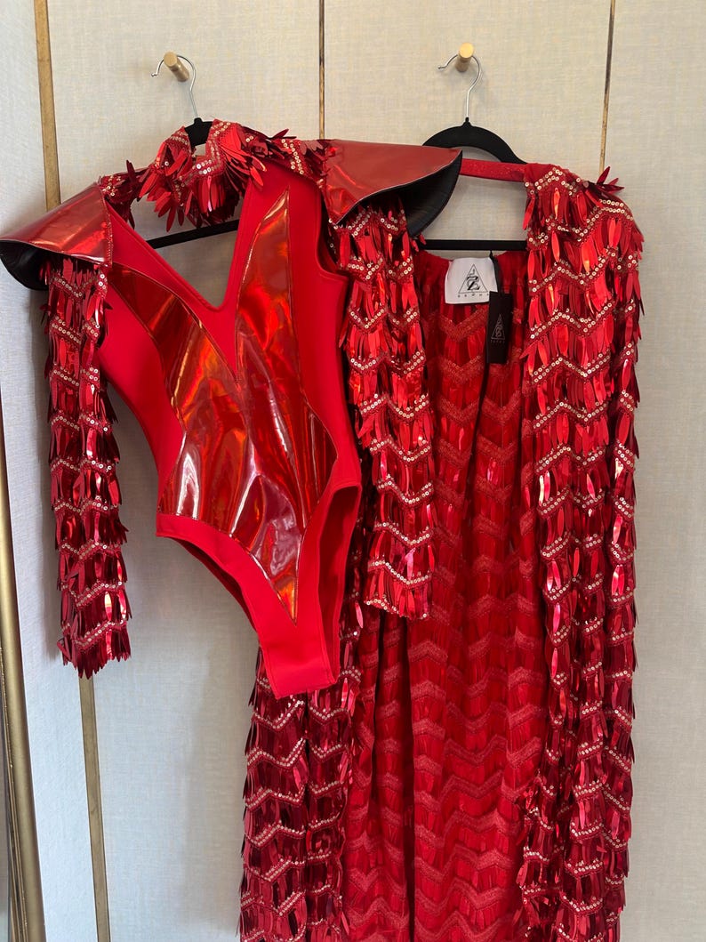 Red Phoenix Costume Set: Metallic Bodysuit and Sequin Fringe Skirt - Etsy
