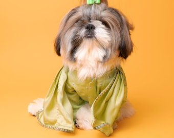 Green Sherwani with Dupatta for pet, Indian dog outfit, pet sherwani, pet wedding outfit, dog sherwani, cat sherwani, Embroidered Sherwani