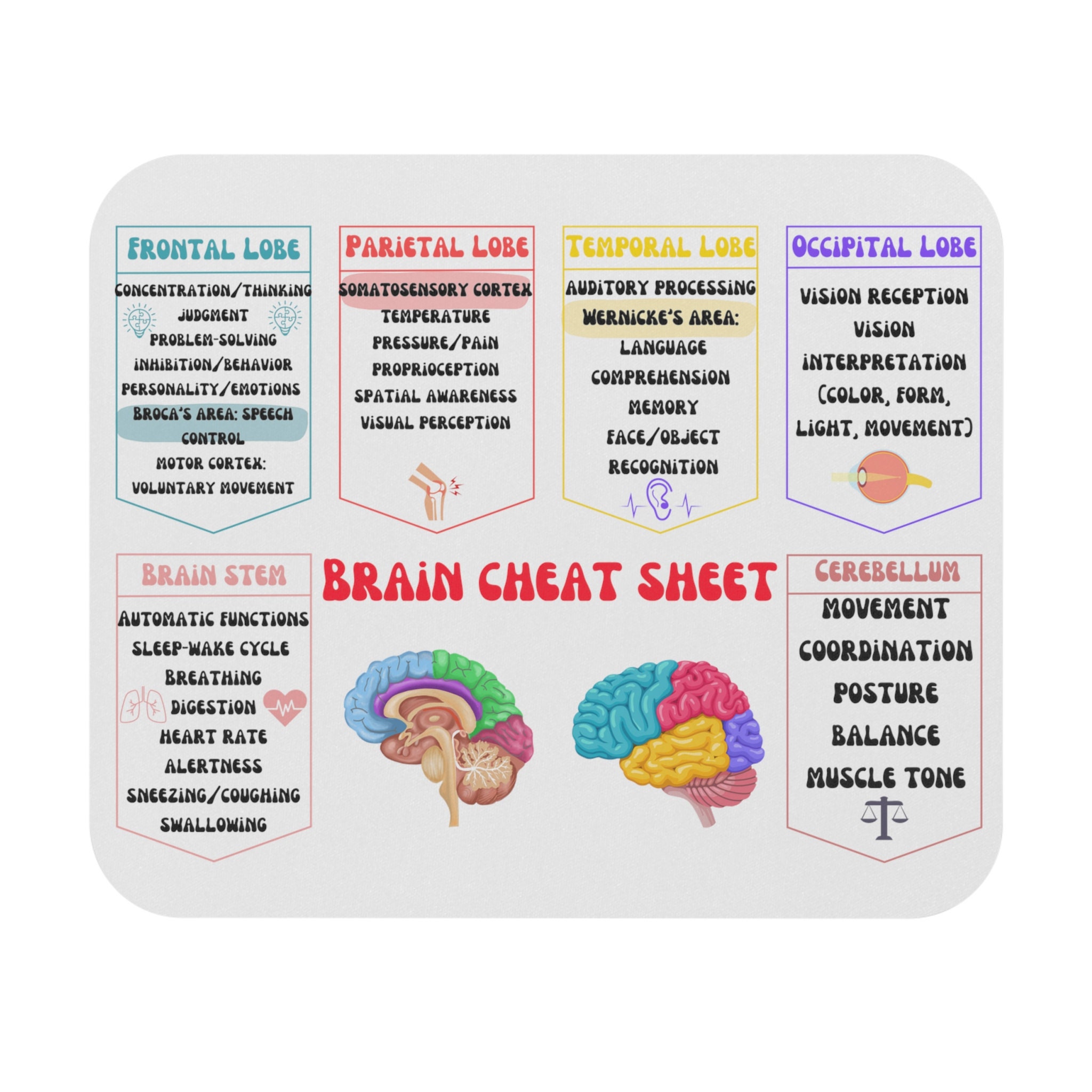brain cheat sheet Mouse Pad (Rectangle), Healthcare mouse pad, brain anatomy, nurse brain sheet, Neuro OT, Neuro PT, Therapy office decor