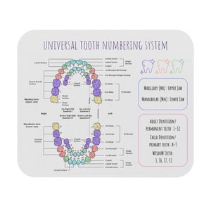 Universal and Palmer tooth number system cheat sheet Mouse Pad (Rectangle); Dental students; Dental hygienist; Dental assistant; Dentist