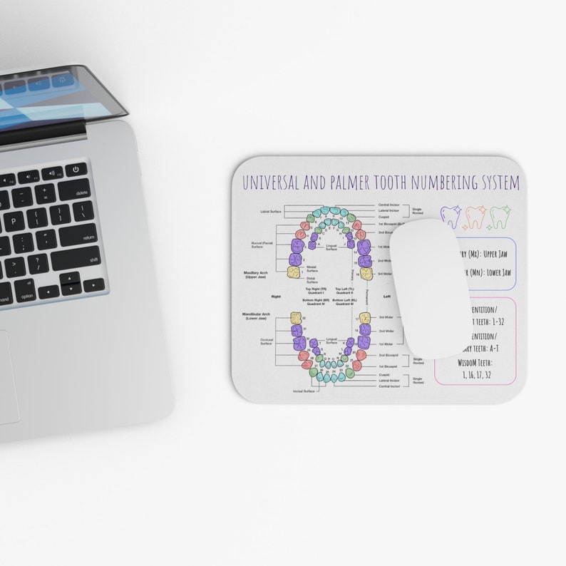Universal and Palmer Tooth Number System Cheat Sheet Mouse Pad