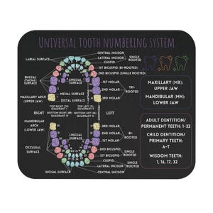 Alfombrilla de ratón con sistema universal de numeración de dientes (negra); dentista, higienista dental, decoración de consultorio dental, asistencia dental; consultorio de ortodoncista