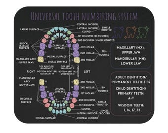 Universal tooth numbering system mouse pad (black); dentist, dental hygienist, dental office decor, dental assistance; orthodontist office