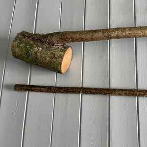 Hazel Wood Knob Stick