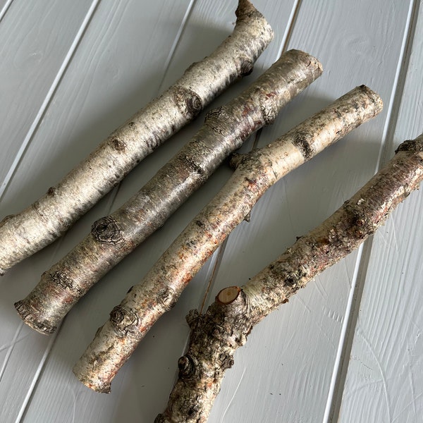 Birch Wood Sticks - Various Sizes