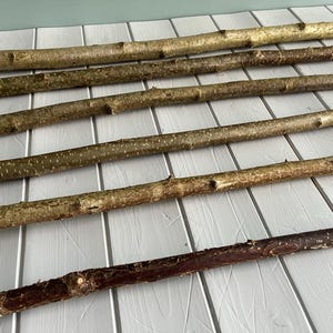 Hazel Wood Stick - Walking Stick Blanks