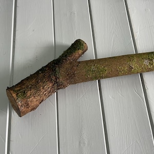 May include: A natural wooden branch with a smaller branch extending from it. The wood is brown with patches of green moss. The cut end of the branch is visible. The branch is lying on a white surface.