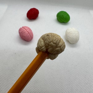 Brain pencil topper