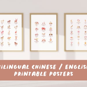 Bilingual Chinese English Prints | Printable Educational Language Learning Posters | Digital Download | Pinyin Simplified Chinese