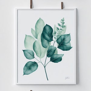 Eucalyptus Water Color set of 4