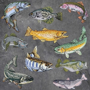 淡水魚パッチセット - マス、バス、ナマズ、クラッピー、釣り（アイロン接着）