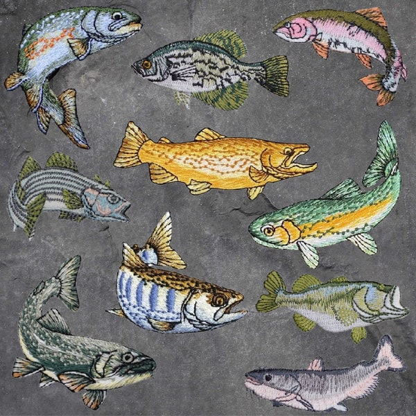 Freshwater Fish Patch Set - Trout, Bass, Catfish, Crappie, Fishing (Iron On)