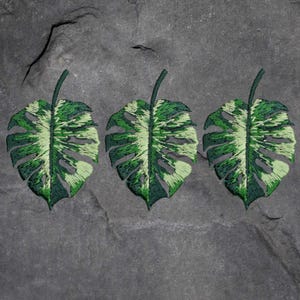 May include: Three green and white monstera leaf patches with embroidered details. The leaves are arranged horizontally in a row.