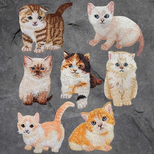 Könnte beinhalten: Satz mit neun gestickten Bügelbildern mit niedlichen Kätzchen in verschiedenen Posen und Farben. Die Patches sind perfekt, um Kleidung, Taschen oder anderen Stoffartikeln einen Hauch von Verspieltheit zu verleihen.