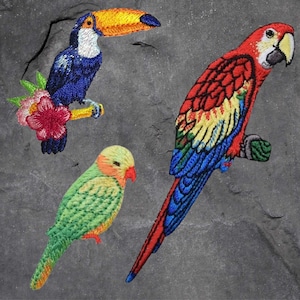 Tropical Bird Patch Set - Toucan, Macaw, Parrot, Flowers, Bird Badge (Iron On)