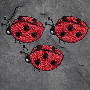 May include: Three red embroidered ladybug patches with black spots and white eyes.