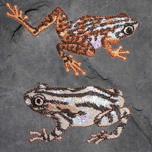 May include: Two embroidered frog patches. The top frog is brown with black stripes and the bottom frog is white with black stripes.