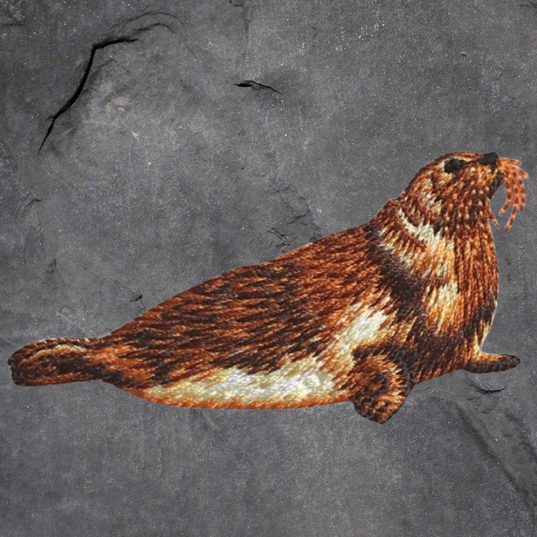 Seehund Aufnäher Set - Sattelrobbe, Seerobbe, Seehund, Aufnäher zum  aufbügeln - Etsy Schweiz, image size:1080x1080